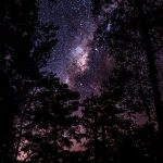Обзор лучших магазинов для покупки детских ночных проекторов